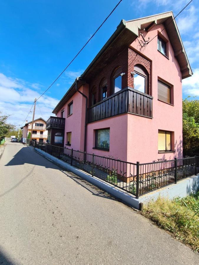 Apartamento In Pavlovic Banja Koviljača Exterior foto